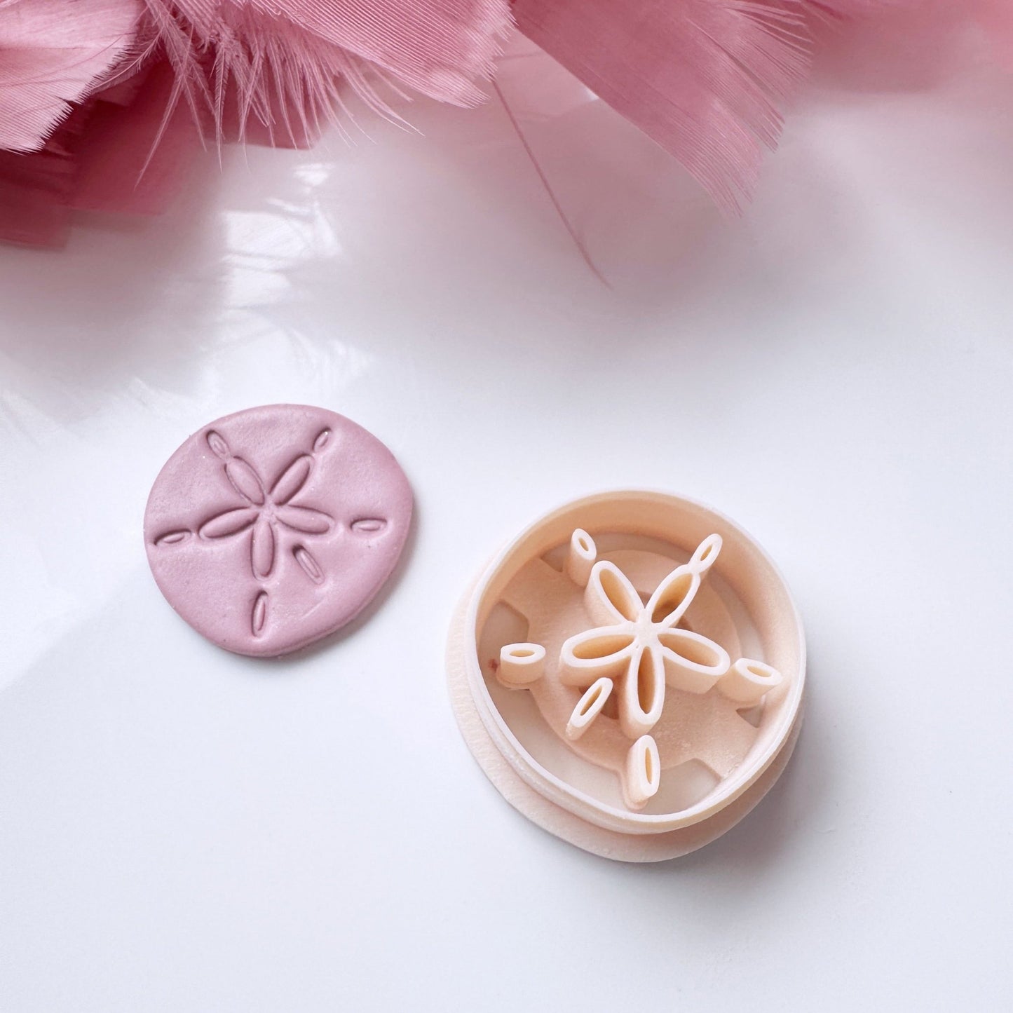 Sand dollar Cutter - S.I. Originals