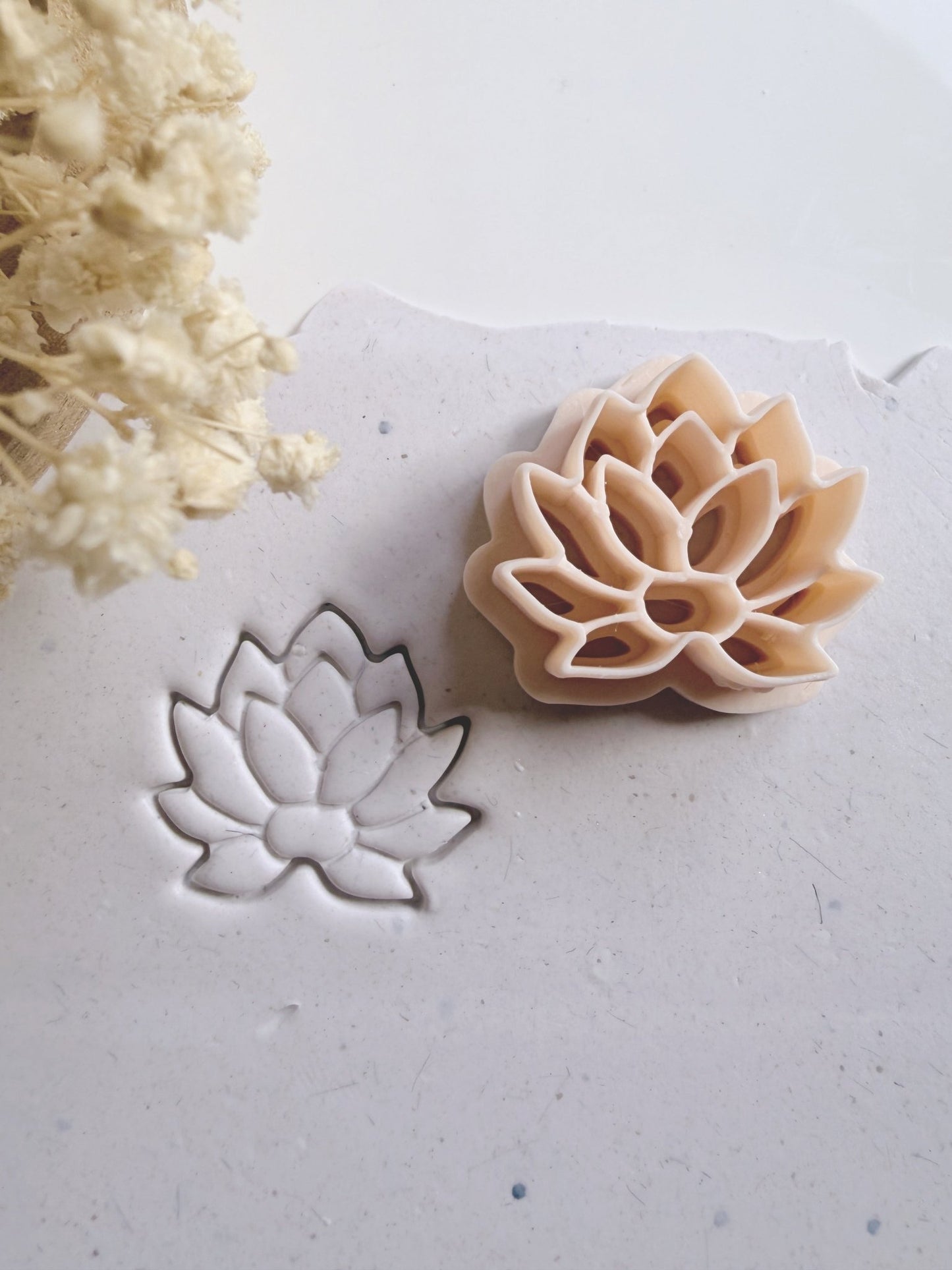 Nova Lotus Cutter - S.I. Originals