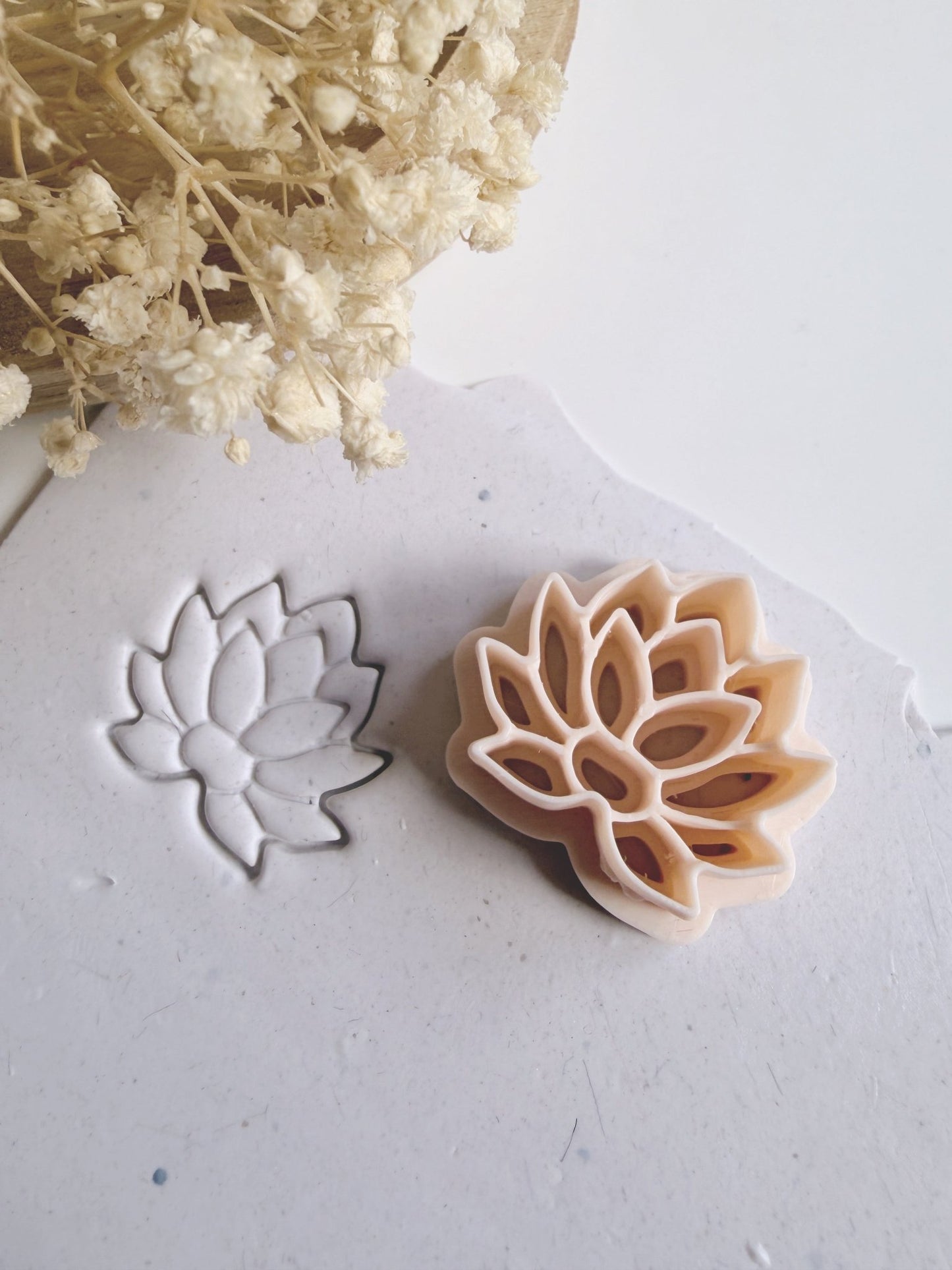 Nova Lotus Cutter - S.I. Originals