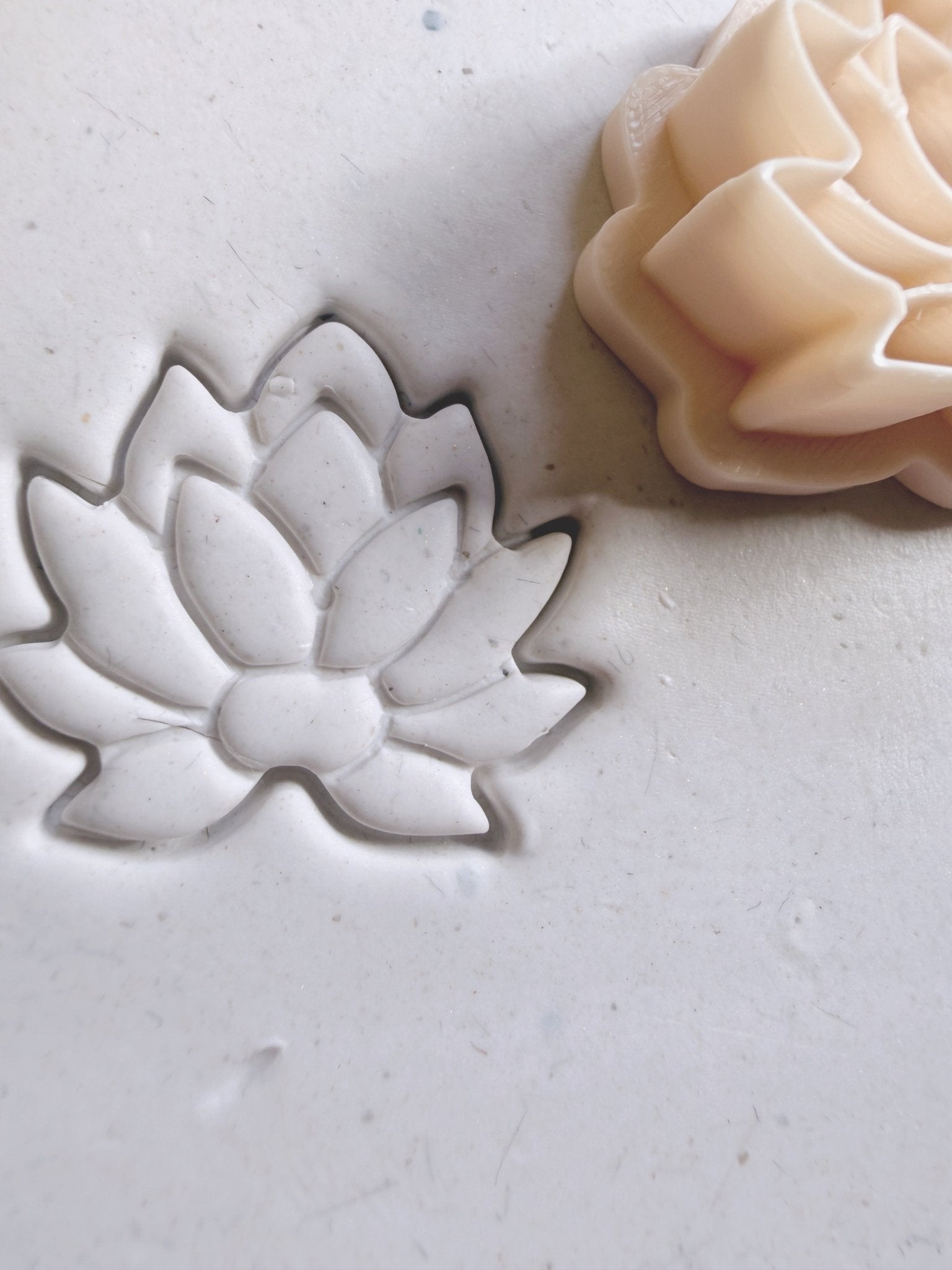 Nova Lotus Cutter - S.I. Originals